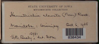 Image Associated With the Occurence